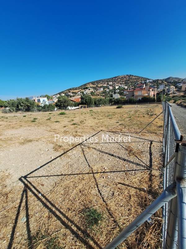 תמונת סרוניקוס, אתונה למכירה (0)