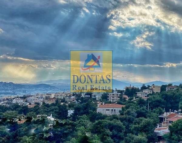 תמונת נאה פאנטלי, אתונה למכירה (1)