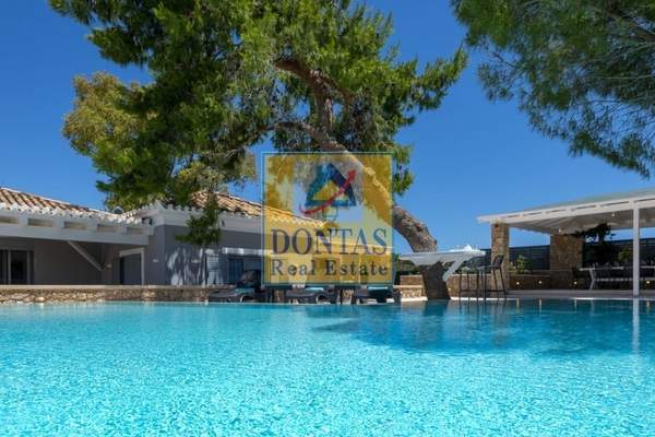 תמונת ארמיונידה, פלופונס למכירה (0)