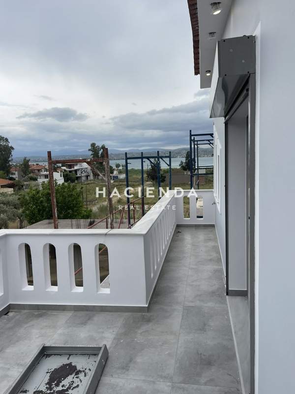 תמונת כלקיס (צפון), אוויה למכירה (0)