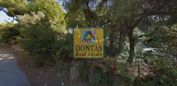 תמונת דיוניסוס למכירה (1)