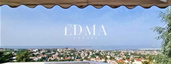 תמונת פאיליה - חורטיאטיס למכירה