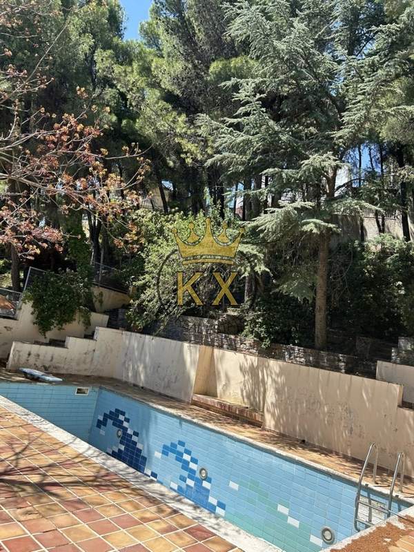 תמונת אכרניס למכירה (1)