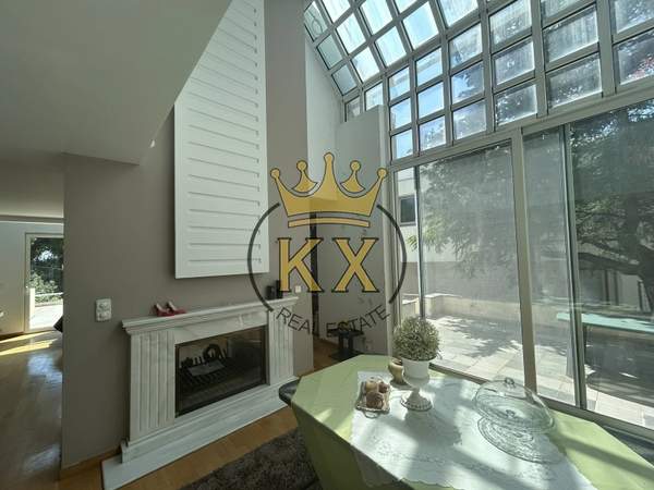 תמונת אכרניס למכירה (0)