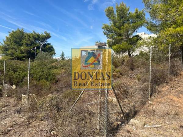 תמונת פאנטלי, אתונה למכירה (0)