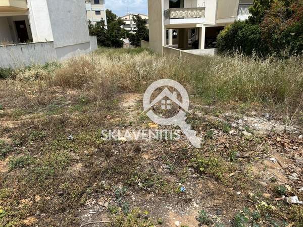 תמונת ספטה ארטמידה למכירה (1)