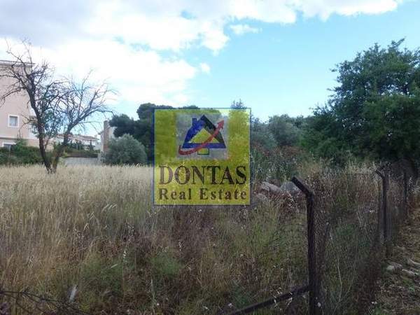 תמונת קיפיסיה, אתונה למכירה