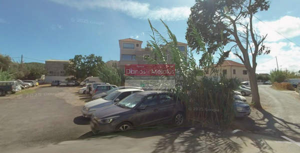 תמונת פלטניאס למכירה (0)