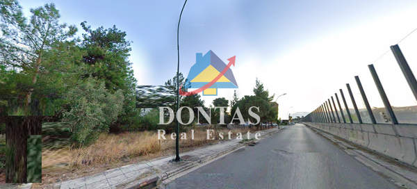 תמונת נאה קיפיסיה, קיפיסיה למכירה (1)