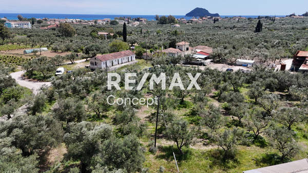 תמונת זקינתוס למכירה (0)