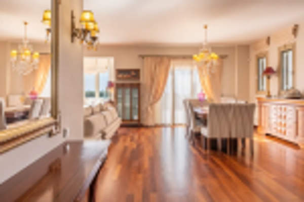 תמונת קאלמטה, פלופונס למכירה (0)