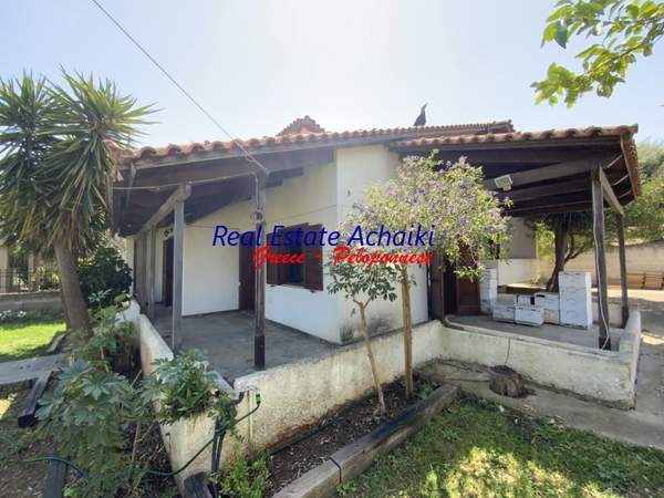 תמונת איגאליאה, פלופונס למכירה (1)