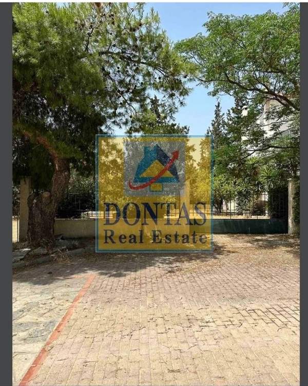 תמונת קיפיסיה למכירה (1)