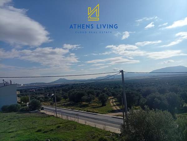 תמונת ספטה ארטמידה, אתונה למכירה (0)