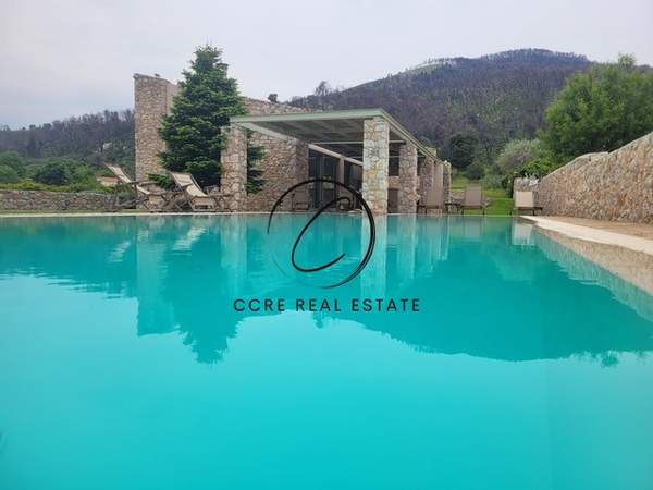 תמונת אורופוס למכירה (0)