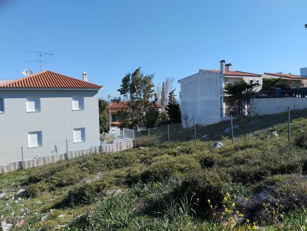 תמונת דיוניסוס, אתונה למכירה (1)