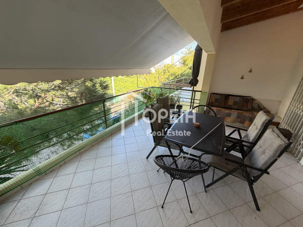 תמונת סרוניקוס, אתונה למכירה (1)