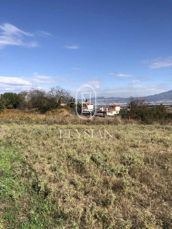 תמונת תרמי למכירה (0)