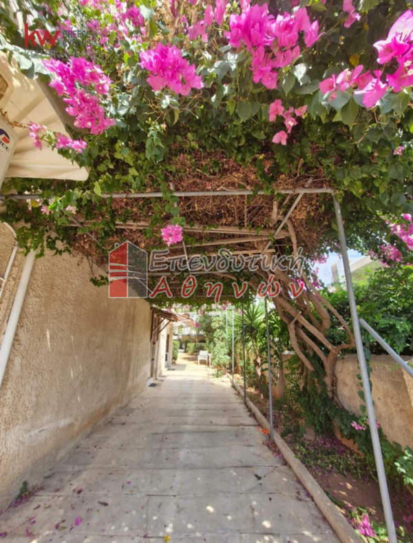 תמונת גליפדה, אתונה למכירה