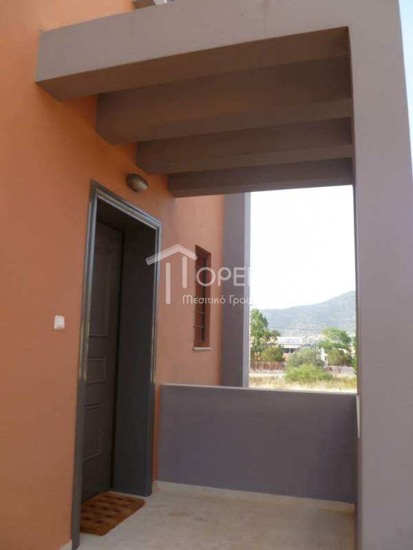 תמונת סרוניקוס למכירה (0)