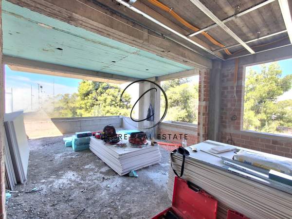 תמונת פאפאגו למכירה (1)