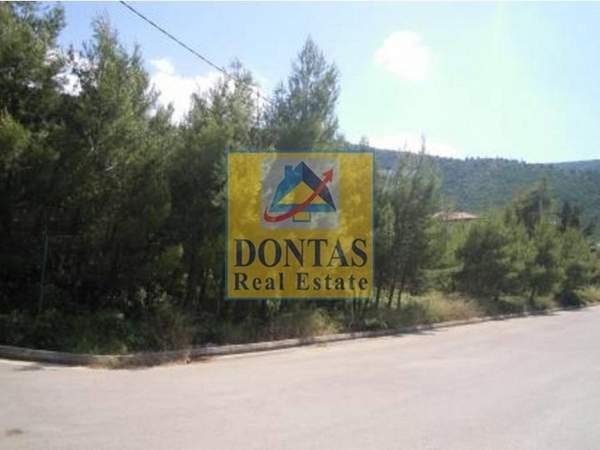 תמונת דיוניסוס, אתונה למכירה (0)