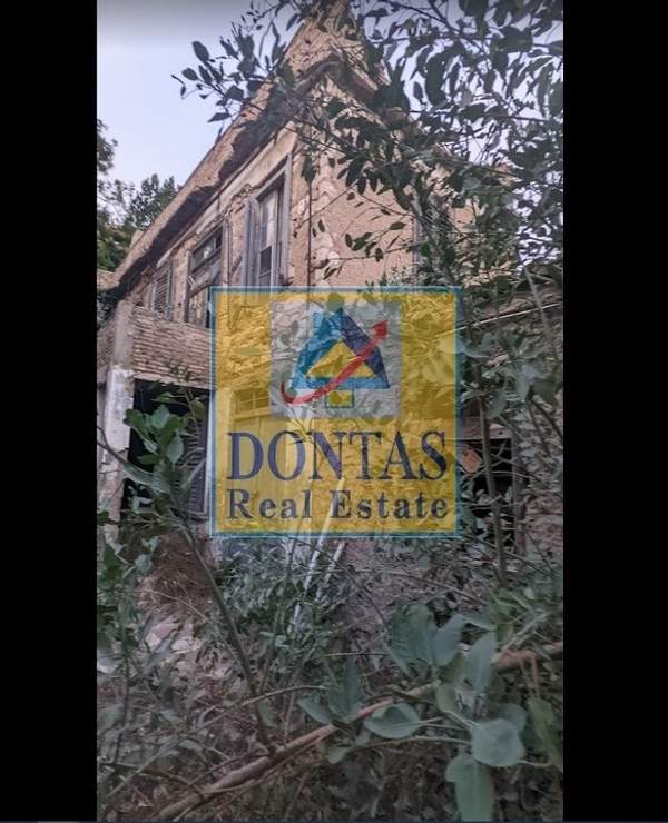 תמונת מקראג'יני, אתונה למכירה (1)