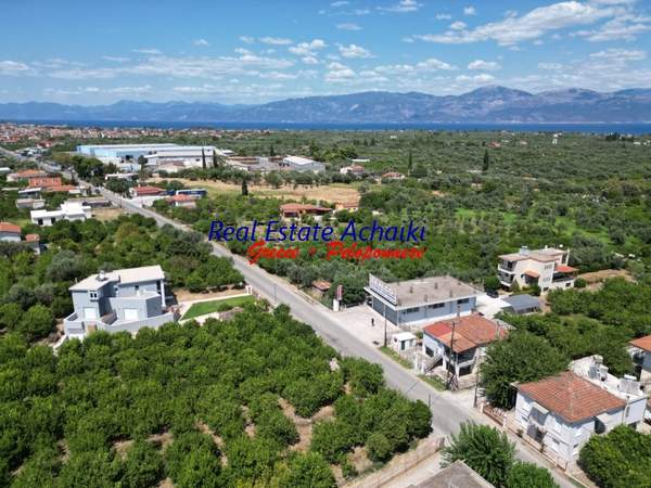 תמונת איגאליאה, פלופונס למכירה (1)