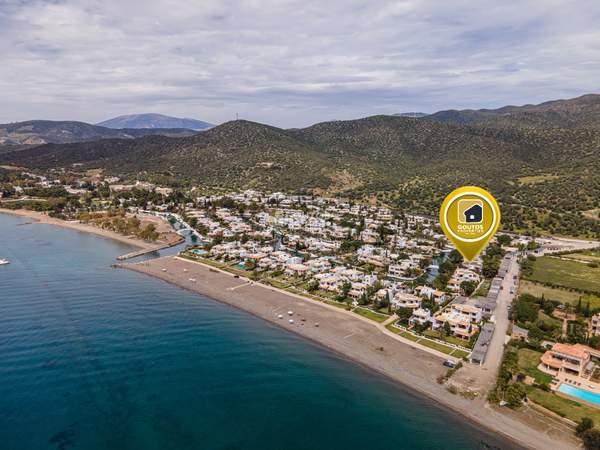 תמונת ארמיונידה, פלופונס למכירה