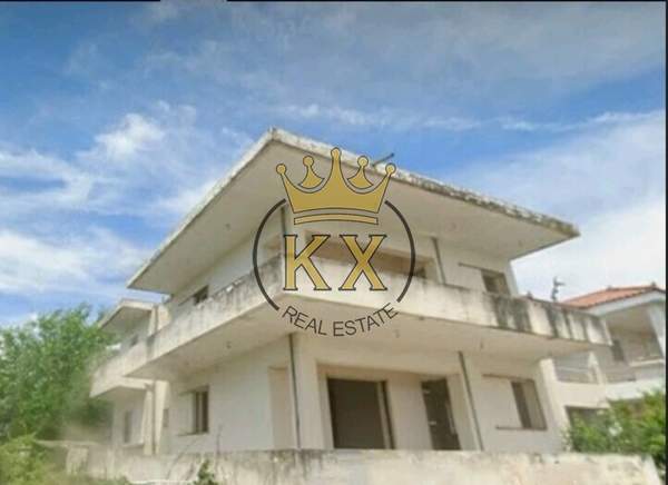 תמונת דיוניסוס למכירה (0)