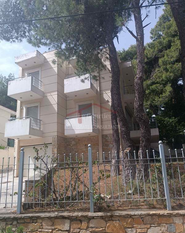 תמונת קיפיסיה, אתונה למכירה (0)