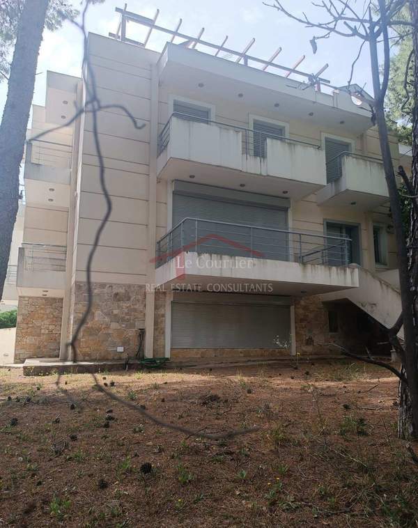 תמונת קיפיסיה, אתונה למכירה (1)