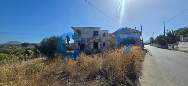 תמונת אפוקורנס למכירה (0)