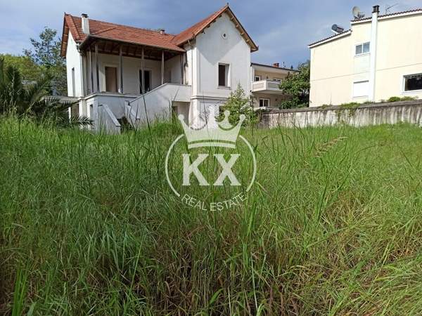 תמונת קיפיסיה, אתונה למכירה (1)