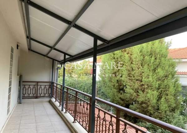 תמונת לקאטמיה למכירה (0)