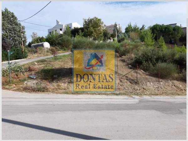 תמונת דיוניסוס, אתונה למכירה (1)