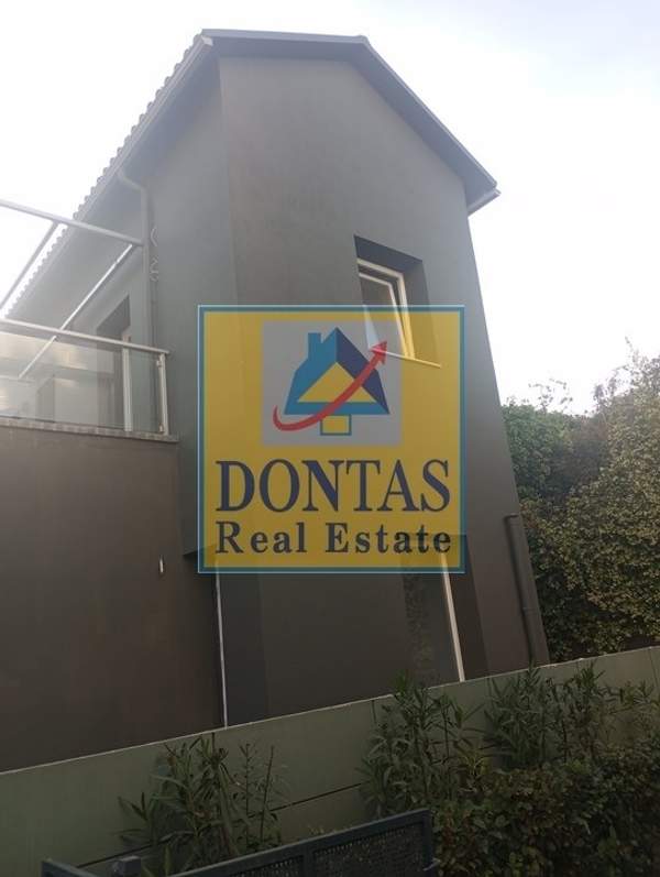 תמונת נאה קיפיסיה, קיפיסיה למכירה (0)