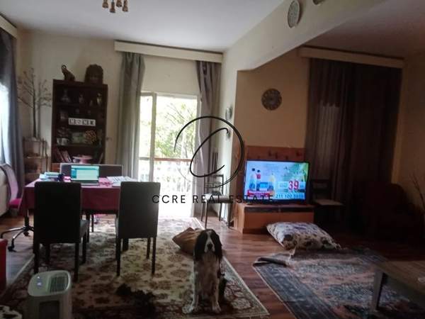 תמונת ליקובריסי, אתונה למכירה