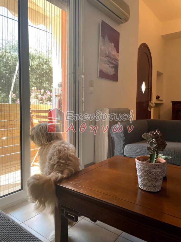 תמונת קליתיאה - פראסאס - אגיוס יואניס, הרקליון למכירה (0)