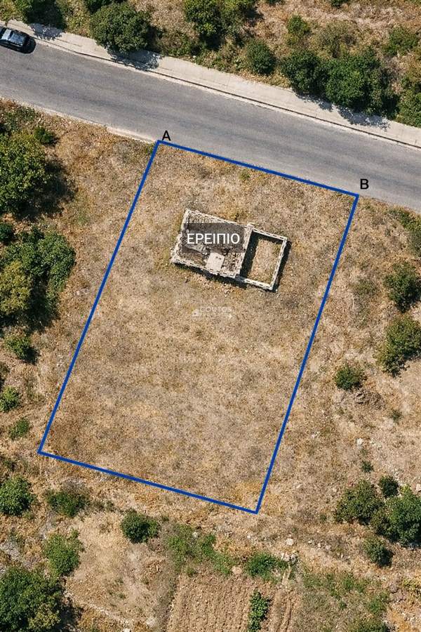 תמונת פאיליה - חורטיאטיס, סלוניקי למכירה