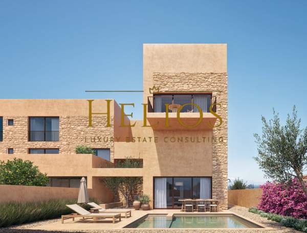 תמונת פלטניאס למכירה (1)