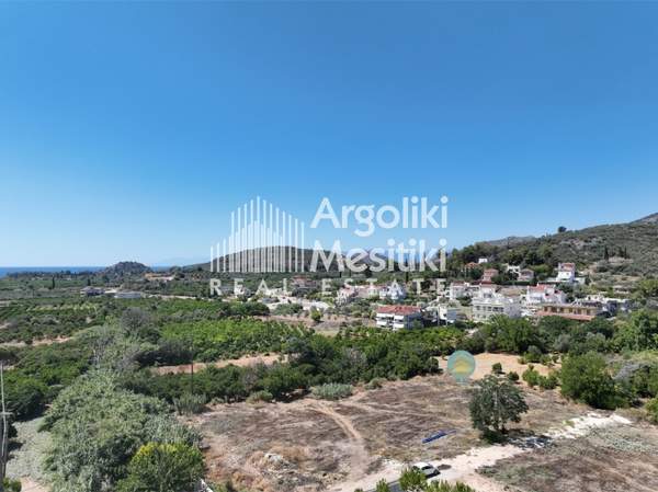 תמונת נאפפליו, פלופונס למכירה (0)