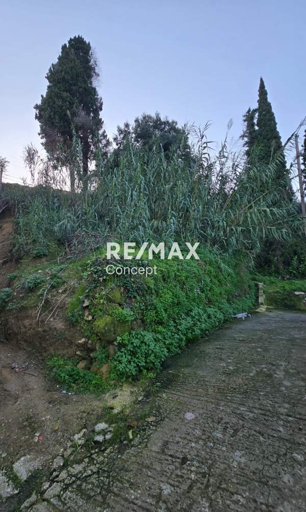 תמונת זקינתוס למכירה (1)