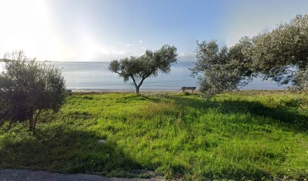 תמונת ארטריה למכירה (1)