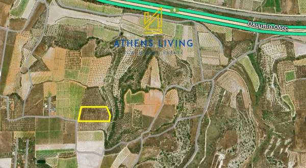 תמונת קורינתיה, פלופונס למכירה (0)