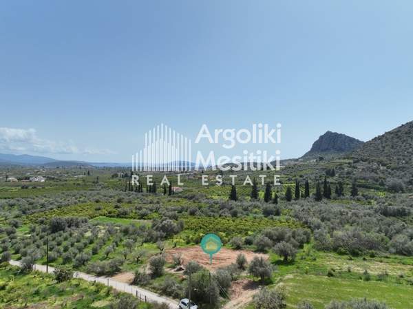 תמונת נאפפליו, פלופונס למכירה (0)