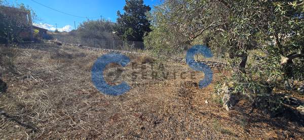 תמונת אפוקורנס, כרתים למכירה (1)