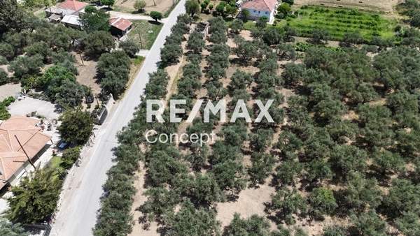 תמונת זקינתוס למכירה (1)