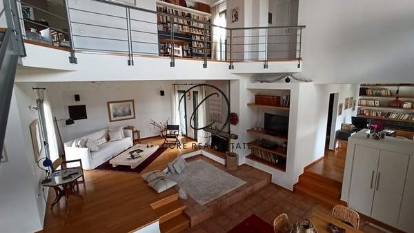 תמונת פפקי, אתונה למכירה (0)