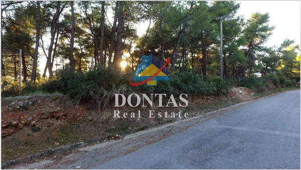 תמונת דיוניסוס, אתונה למכירה (0)